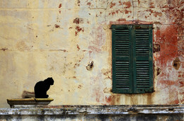 RUHEZEIT / Diese Katze auf Mallorca hatte es mir angetan. Die RUHE, die diesen Moment ausstrahlte versuchte ich zu fotografieren.