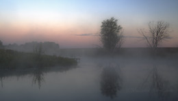 Morgendämmerung, Nebel / ***