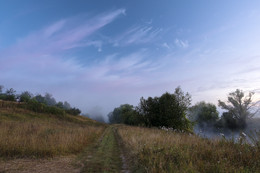 Morgendämmerung, Nebel / ***