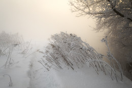 Morgendämmerung, Nebel, Frost .. / ***