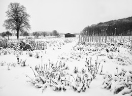 AN DER LIPPE / An einem Wintermorgen an der Lippe in Olfen im Münsterland. Hier bin ich ganz in der Nähe der Rauschenburg.