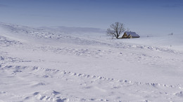 Winterwunderland / Früher hatte es in unseren Regionen noch viel mehr Schnee als heute