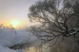 Morgendämmerung, Nebel, Frost .. / ***