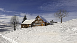 Winter im Appenzellerland / typisches Appenzellerhaus
