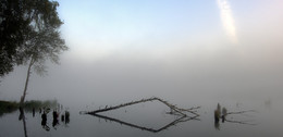 Morgendämmerung, Nebel / ***