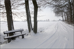 RUHEPLATZ / Rund um meiner Heimatstadt Olfen im Münsterland gibt es tolle Wege zu wandern. Auch im Winter war ich hier unterwegs.