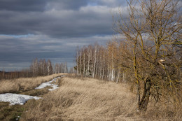 Vor dem Sturm ... / ***