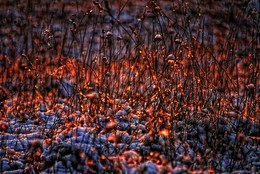 Ein schöner Tag dank Frost und Sonne / ...