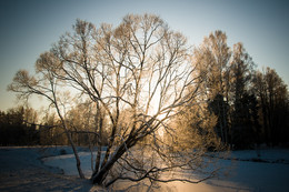 Ein schöner Tag dank Frost und Sonne / ***