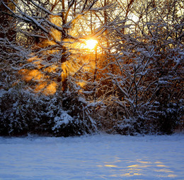 Ein schöner Tag dank Frost und Sonne / ***