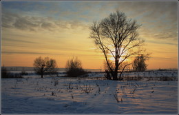 Ein schöner Tag dank Frost und Sonne / ***