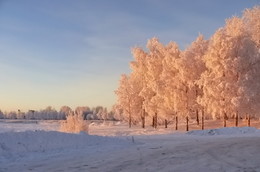 Ein schöner Tag dank Frost und Sonne / ***