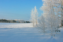 Ein schöner Tag dank Frost und Sonne / ***