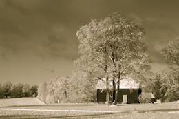 Ein schöner Tag dank Frost und Sonne / ***