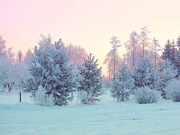 Ein schöner Tag dank Frost und Sonne / ***