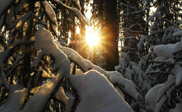 Ein schöner Tag dank Frost und Sonne / ...