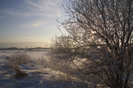 Ein schöner Tag dank Frost und Sonne / ***