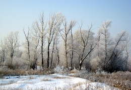 Ein schöner Tag dank Frost und Sonne / ***