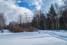 Straße in den Wald / ***