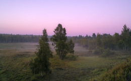 Morgendämmerung, Nebel / ***