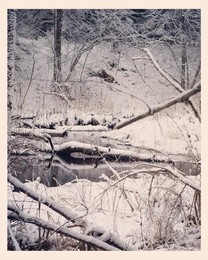 letzten Tag des Winters / nikon d5100, nikkor 18-55mm