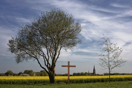 RECKLINGHAUSEN / So sollte Frühling aussehen. Hier vor den Toren von Recklinghausen in Essel.