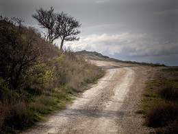 Der Weg in die Stadt / ***