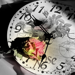 Alle werden ... / ***