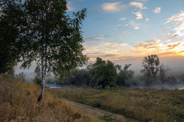 Morgendämmerung, Nebel / ***