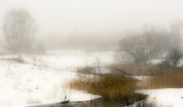 Morgendämmerung, Nebel / ***