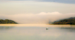 Morgendämmerung, Nebel / ***