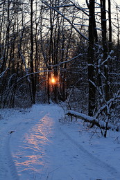 Sonnenuntergang im Winter / ***