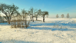 Unter einer Schneedecke / ***