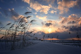 Rauschende Blätter ... / ***