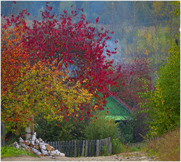 Herbst in der Ortschaft / ***