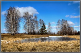 Der Hauch von Frühling / ***