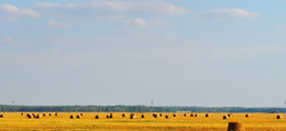 Landschaft im ländlichen Raum / ***