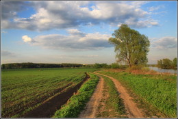 Vorstadtlandschaft / ***