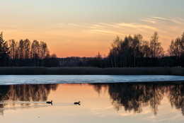 Frühlingslandschaft / ***