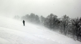 Schneesturm / ***