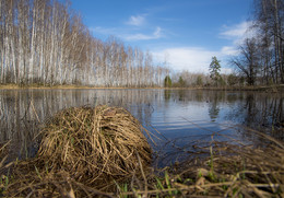 Frühlings-Teich / ***