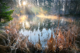 Gegen das Licht / ***