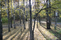 Gegen das Licht / ***