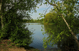 Am See / ***