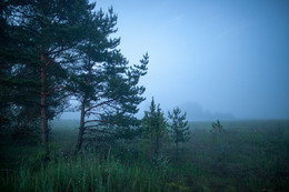 Pre-dawn Nebel / ***