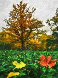 Zeichen des Herbstes. / ***