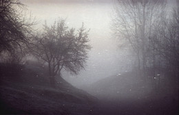 Im Nebel. / ***