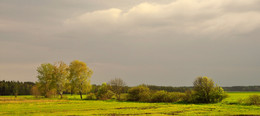 Vor dem Regen / ***