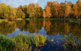 Herbstabend / ***