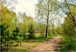 Frühlingsspaziergang / ***